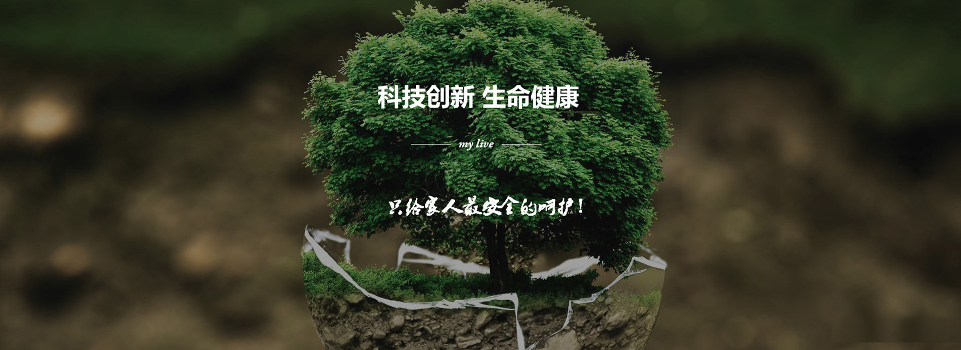广告标题